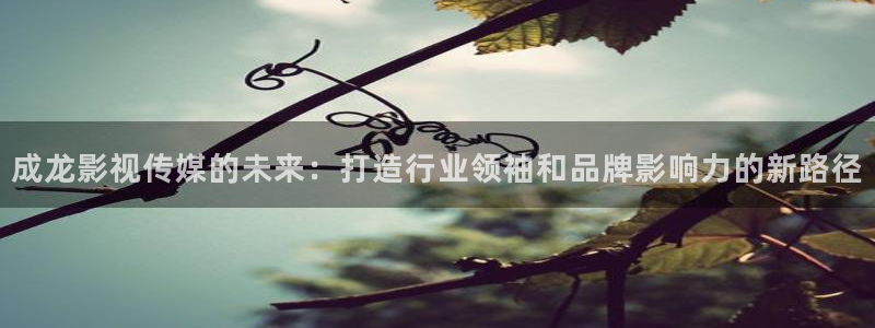 琪琪三级影院：成龙影视传媒的未来：打造行业领袖和品牌影响力的新路径