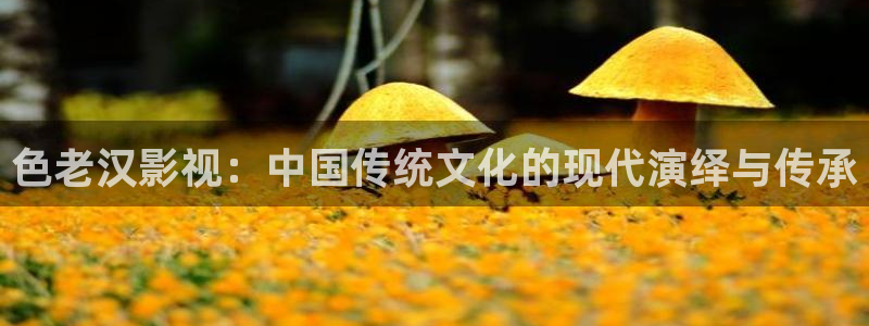 琪琪三级影院：色老汉影视：中国传统文化的现代演绎与传承