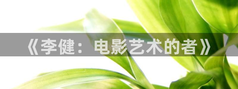 琪琪西瓜影院：《李健：电影艺术的者》