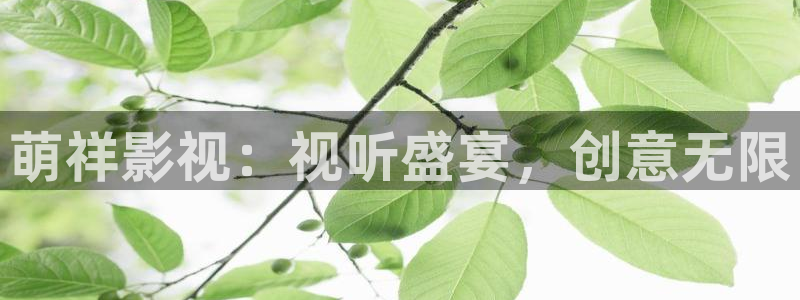 琪琪电影影院：萌祥影视：视听盛宴，创意无限