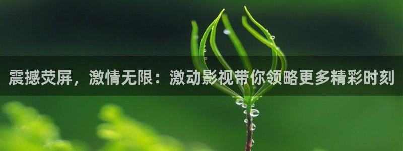 琪琪电影院伦理片：震撼荧屏，激情无限：激动影视带你领略更多精彩时刻